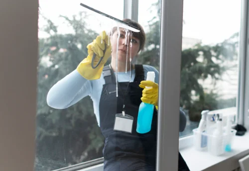 Nettoyage de vitres intérieures et extérieures à Trizay
